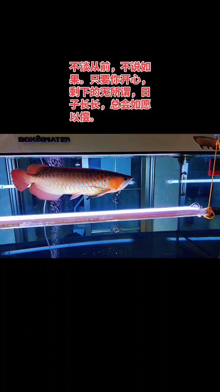 日常打卡，日常打卡，日子長長