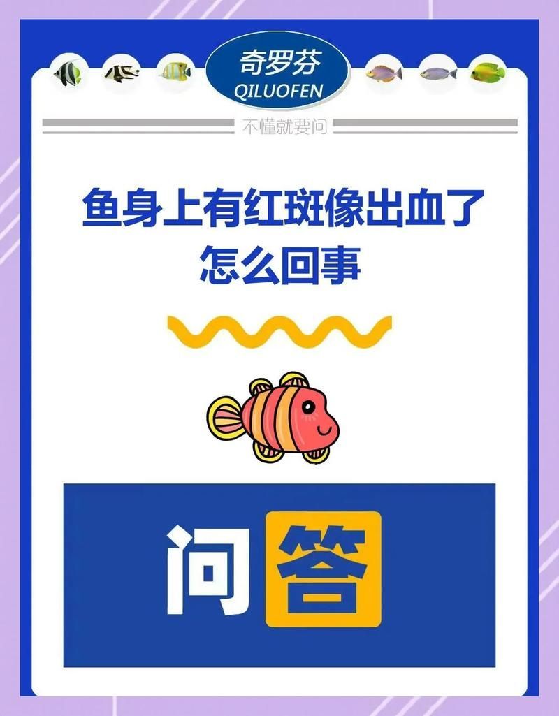 水產養殖中如何預防魚類體表紅斑，如何判斷魚類體表紅斑的發生