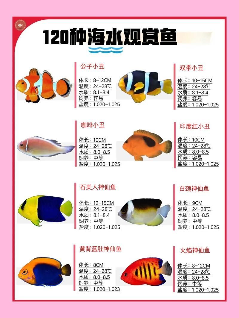 有沒有觀賞魚價格表大全的圖片，2018觀賞魚價格表大全
