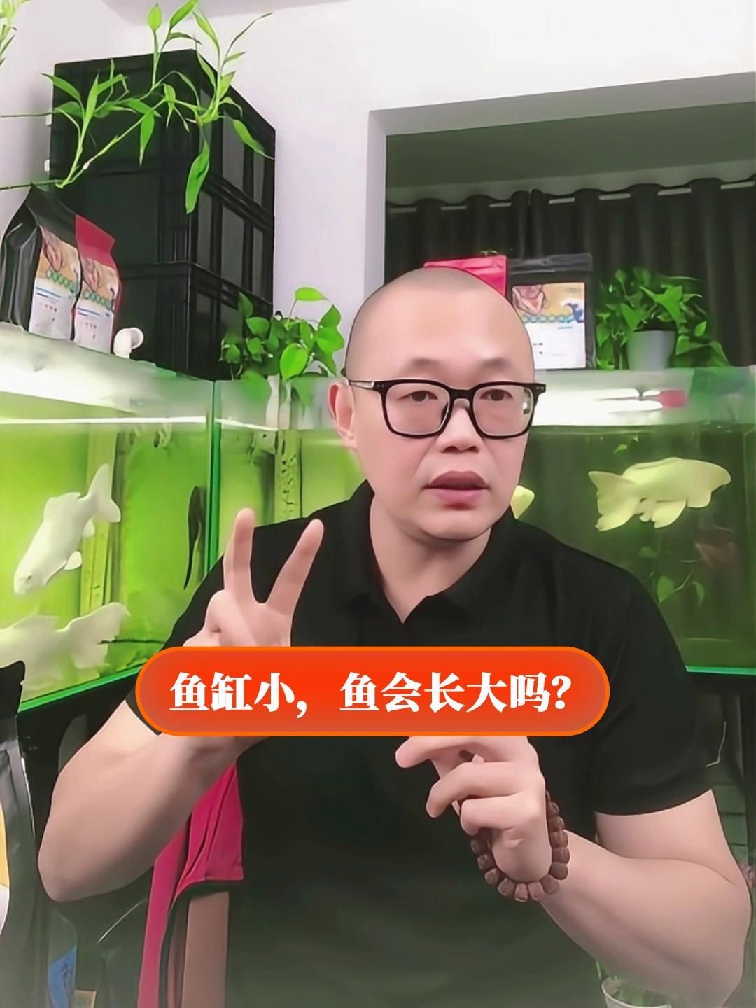 如何判斷魚缸是否過大，如何判斷魚缸是否“過大”
