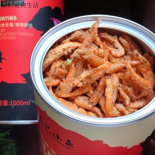 如何補(bǔ)充小火龍魚的鈣質(zhì)？，小火龍魚的鈣質(zhì)補(bǔ)充
