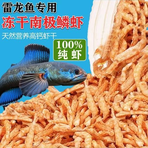 如何補(bǔ)充小火龍魚的鈣質(zhì)？，小火龍魚的鈣質(zhì)補(bǔ)充