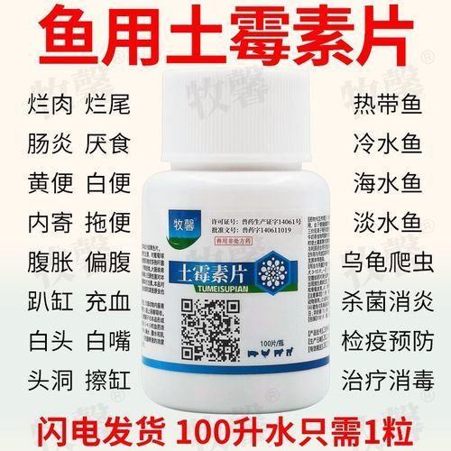 金龍魚爛尾最簡單三個方法，金龍魚爛尾病如何補(bǔ)充
