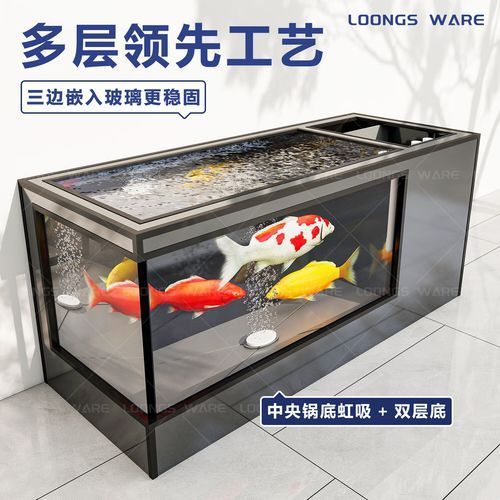 龍魚缸需要哪些特殊設備，漢霸大型實木龍魚缸水族箱