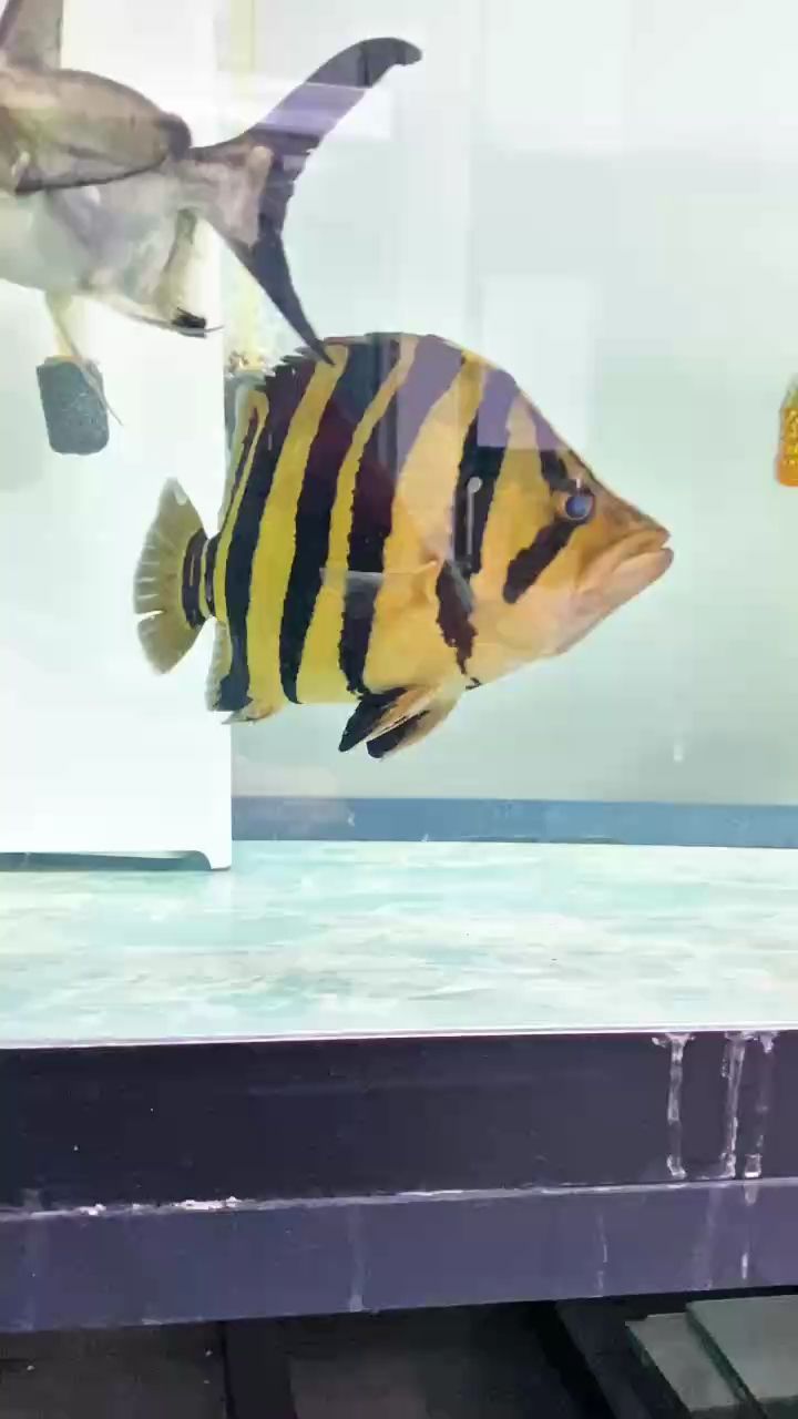 萬元戶潛力，萬元戶在社會經濟發展中的潛在價值和作用和作用