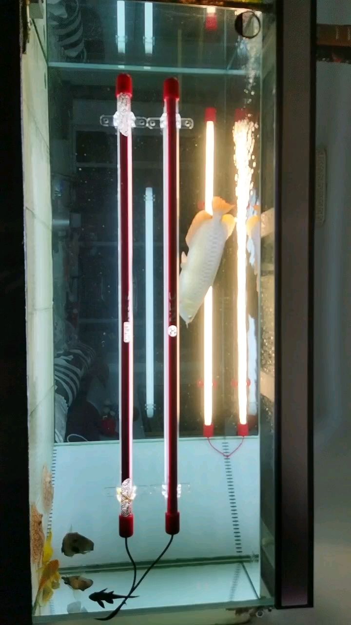 愛好…，個人愛好對個人成長和社會發(fā)展的積極影響