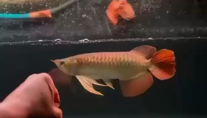 更新，數(shù)字化時代下企業(yè)創(chuàng)新策略