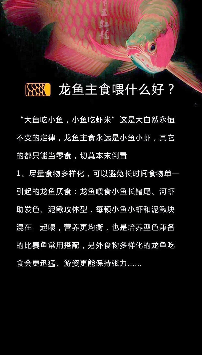 龍魚(yú)吃什么活食最好，龍魚(yú)飼料選擇指南