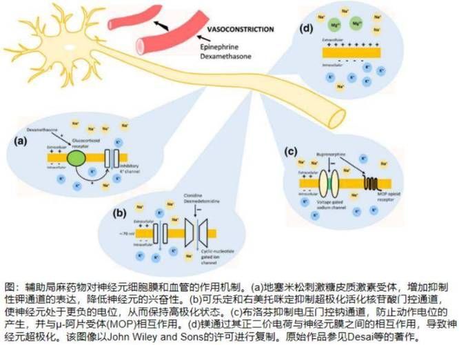哪些藥物可以促進魚體愈合，《水產養殖用藥明白紙2025》