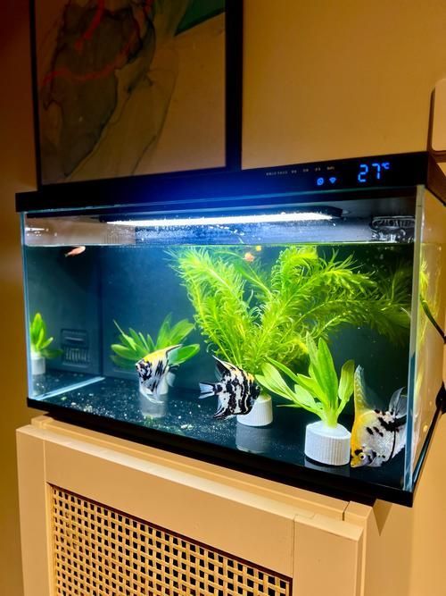 愛(ài)惟視魚(yú)缸有哪些型號(hào)？，“愛(ài)惟視”魚(yú)缸