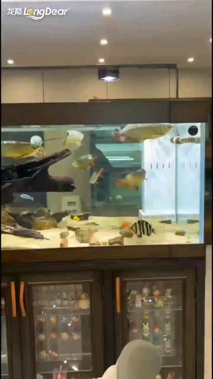 轉發989，轉發989，北京老寧