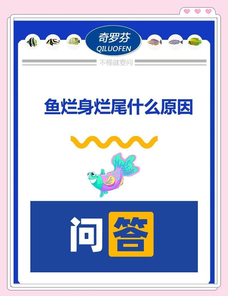 如何預防魚體潰爛，養殖魚體潰爛的五原則，預防魚體潰爛的發生，必須從源頭阻斷