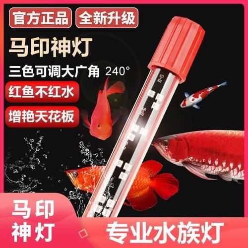 紅龍魚為什么發色好，紅龍魚發色好的原因包括以下幾點：紅龍魚發色好的原因