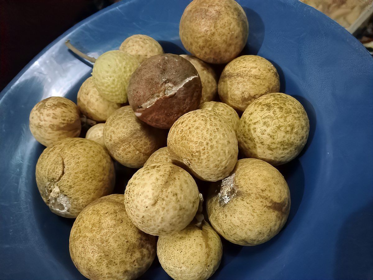 有哪些方法可以延長龍眼的貯藏時間，延長龍眼貯藏時間的方法多樣
