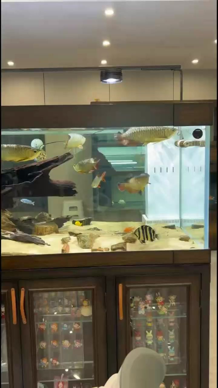 漂亮，“漂亮”在當代社會中的意義