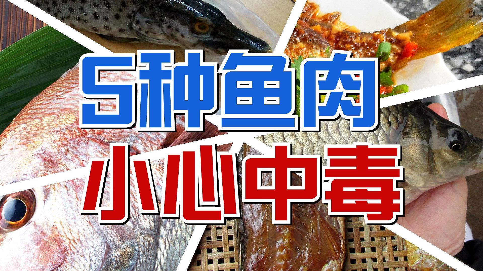 品牌魚和野生魚哪個更安全，品牌魚和野生魚的區別