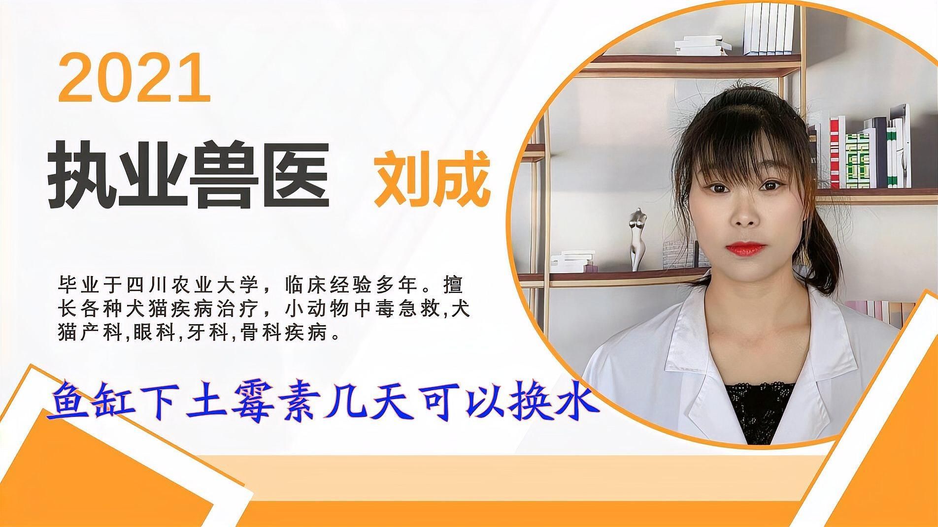魚缸殺蟲后需要多久換水，魚缸殺蟲后多久可以再次換水魚缸殺蟲換水操作流程表