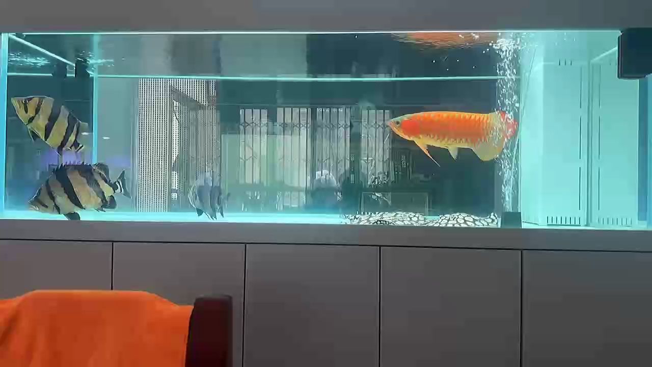 咦，人類對星辰大海的無盡追求