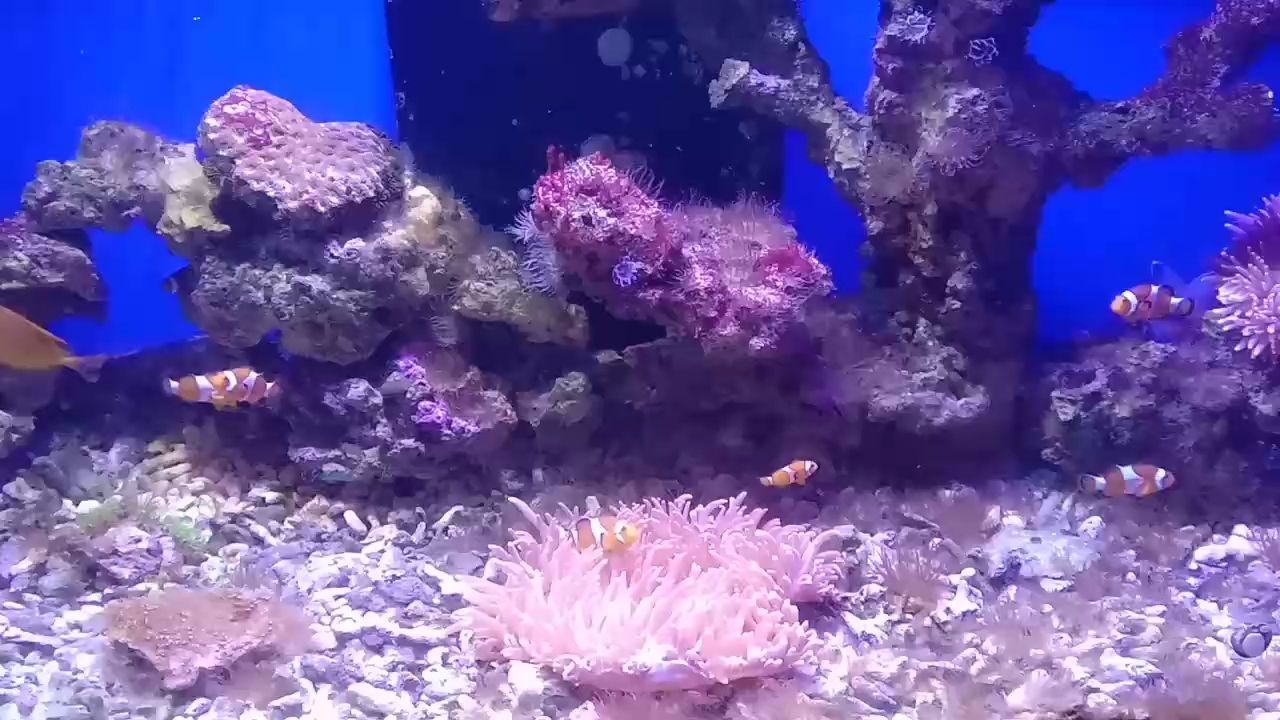 隨拍，北京老寧評論：隨拍的藝術(shù)與技術(shù)，在數(shù)字化時代，