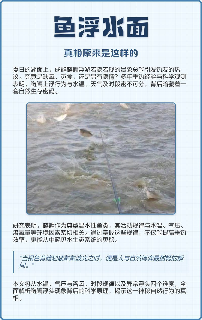 能否提供魚浮頭時的應急處理細節，拜仁足球紀事：魚浮頭時的應急處理細節，如何判斷魚浮頭的嚴重程度