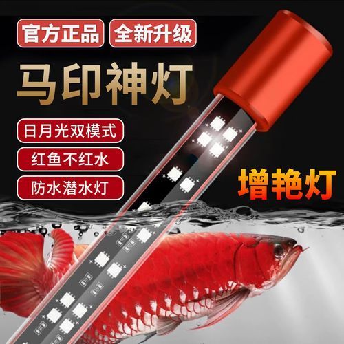 紅龍魚哪個品牌燈最好，哪個品牌的燈最適合紅龍魚
