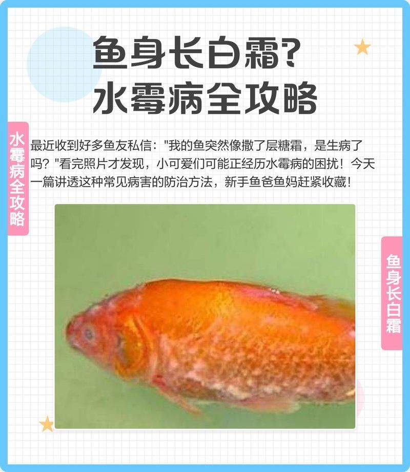 水霉病對人類健康有何影響，方nic山高水長水霉病對人類健康的影響主要表現(xiàn)