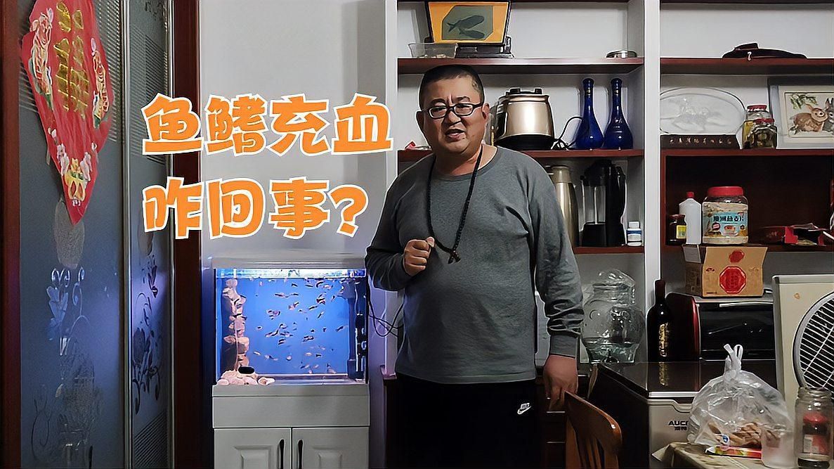 魚鰭紅血絲會(huì)擴(kuò)散嗎，魚鰭紅血絲會(huì)擴(kuò)散嗎如何判斷魚鰭紅血絲是否嚴(yán)重