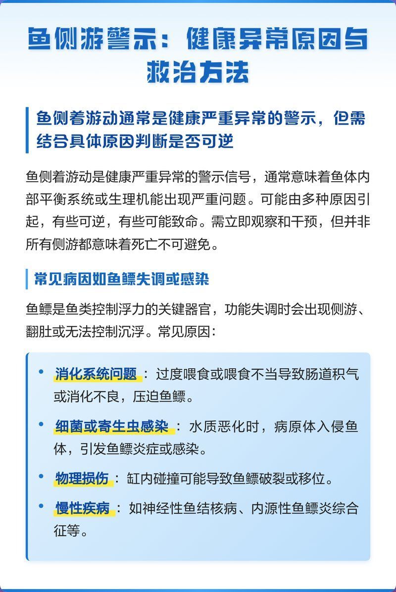 如何判斷龍魚側游是否嚴重？，龍魚側游是否嚴重