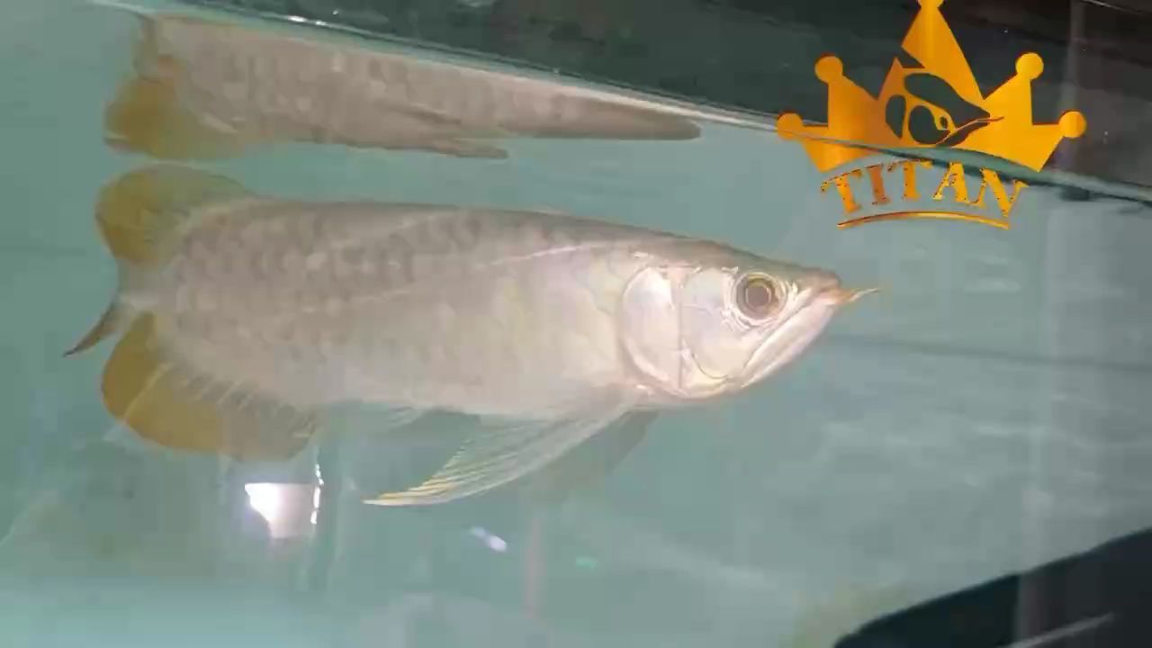 哈哈，“哈哈”在網絡交流中作為笑聲表達的普遍意義