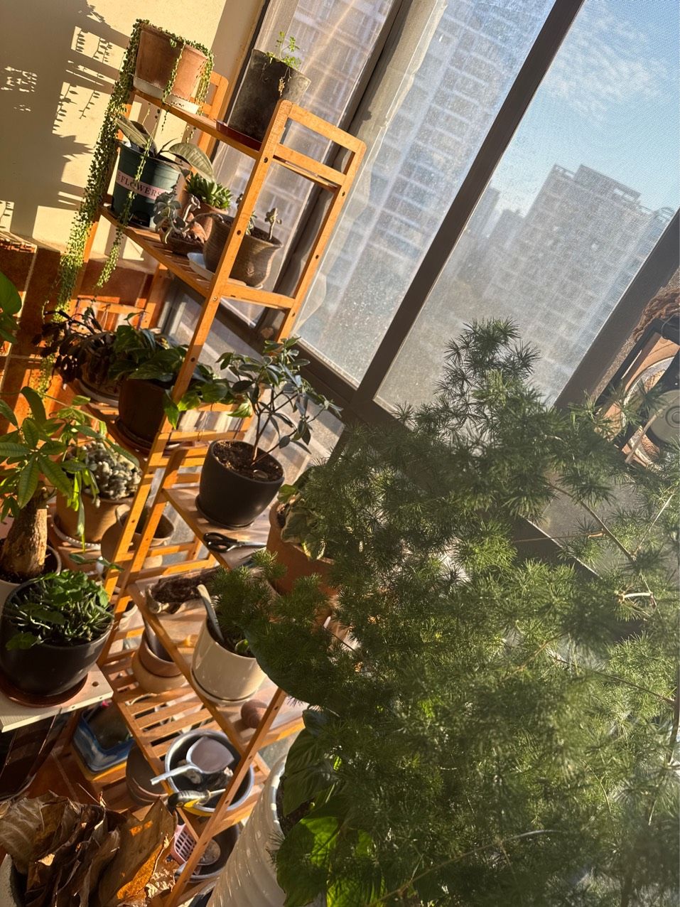 太陽照進來了，太陽光對人類生活的影響