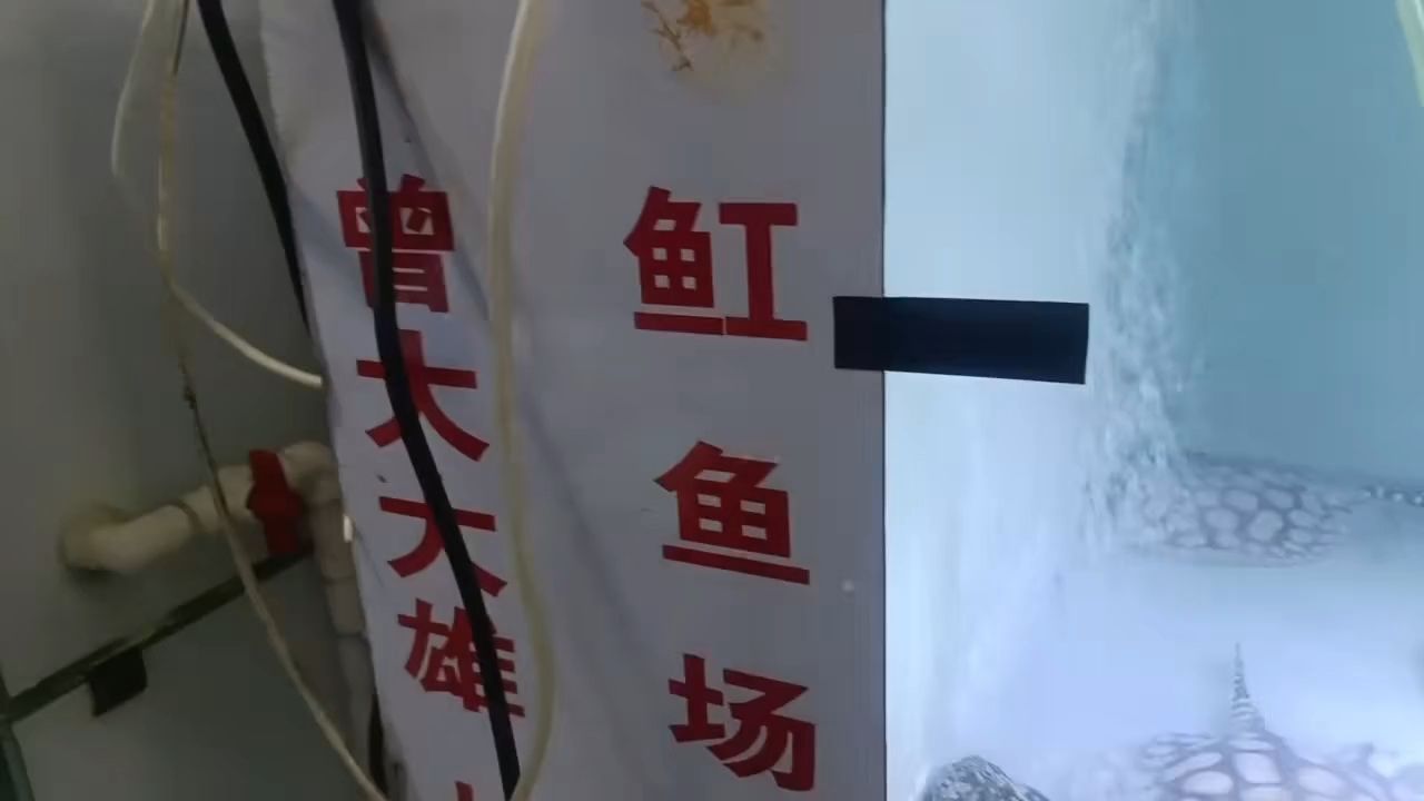 簽到，blazers17評(píng)論：簽到系統(tǒng)在企業(yè)中的應(yīng)用與挑戰(zhàn)