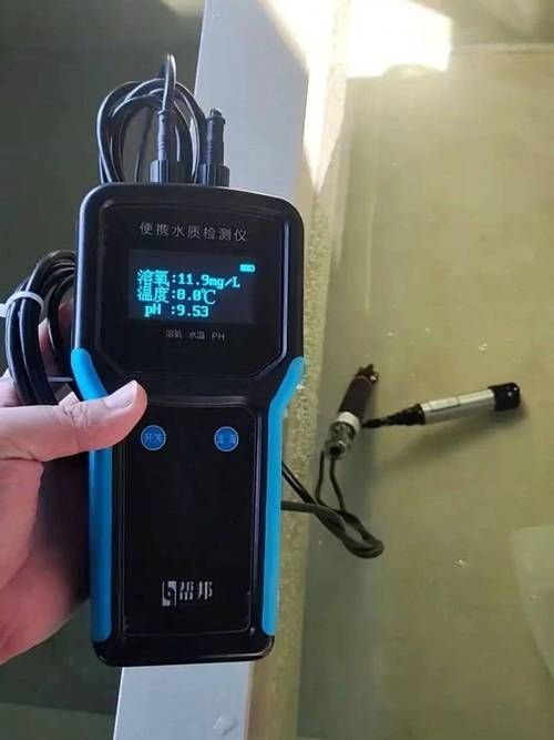 如何預防魚塘早晨浮頭，**魚塘早晨浮頭的科學成因詳解