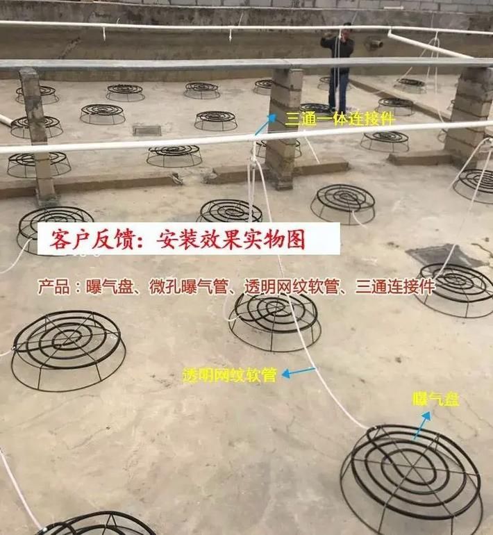 如何預防魚塘早晨浮頭，**魚塘早晨浮頭的科學成因詳解