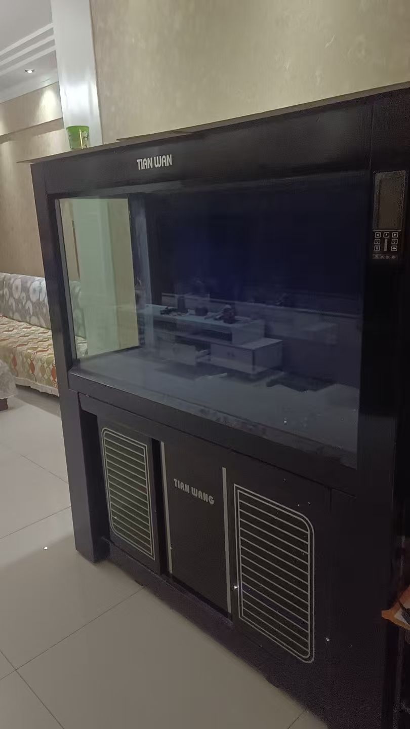 忍痛割愛買魚缸，mimanchig144天王底濾龍魚缸