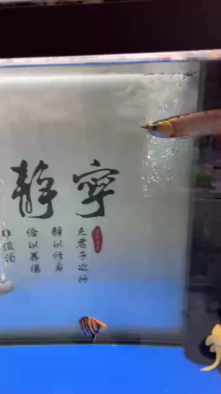 打卡，剛到家，還是有點害怕。，《打卡，剛到家，還是有點害怕，小伙不帥