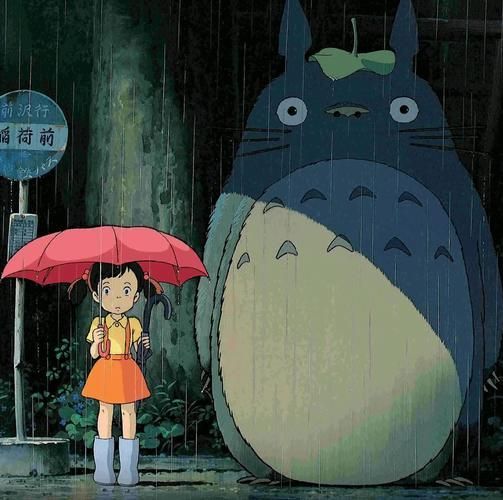 給我一些關于貓和龍貓的圖片，如何區分龍貓和貓