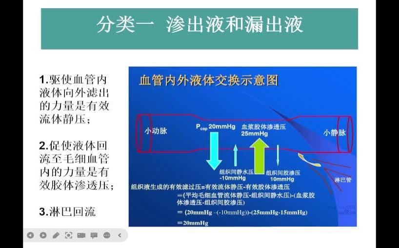 過背金龍魚發色期需要增加光照嗎，背金龍魚發色期需要增加光照，有哪些品牌燈適合過背金龍魚發色期