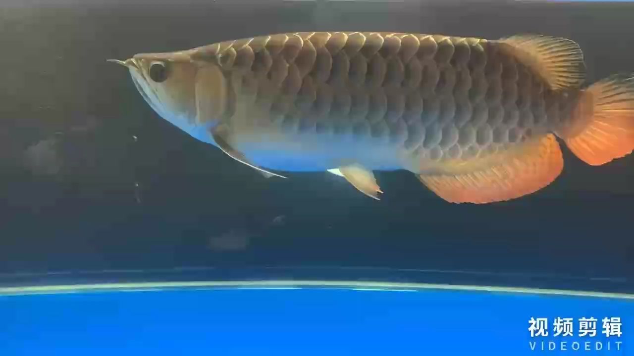 每天打卡，每天打卡的重要性與實(shí)踐策略