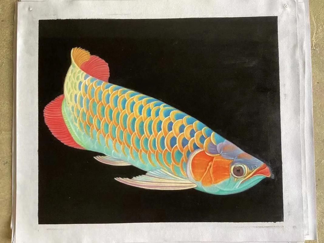 如何鑒別真假油畫金龍魚，如何鑒別油畫金龍魚