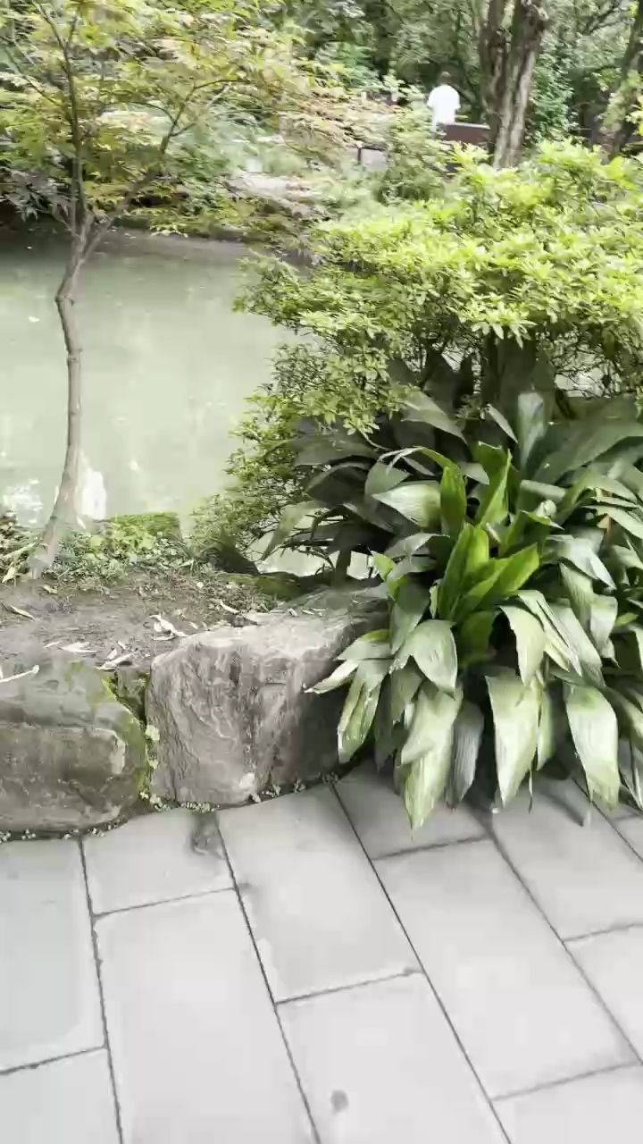 漂亮，i00wvbla評論：探索美麗與魅力的奧秘