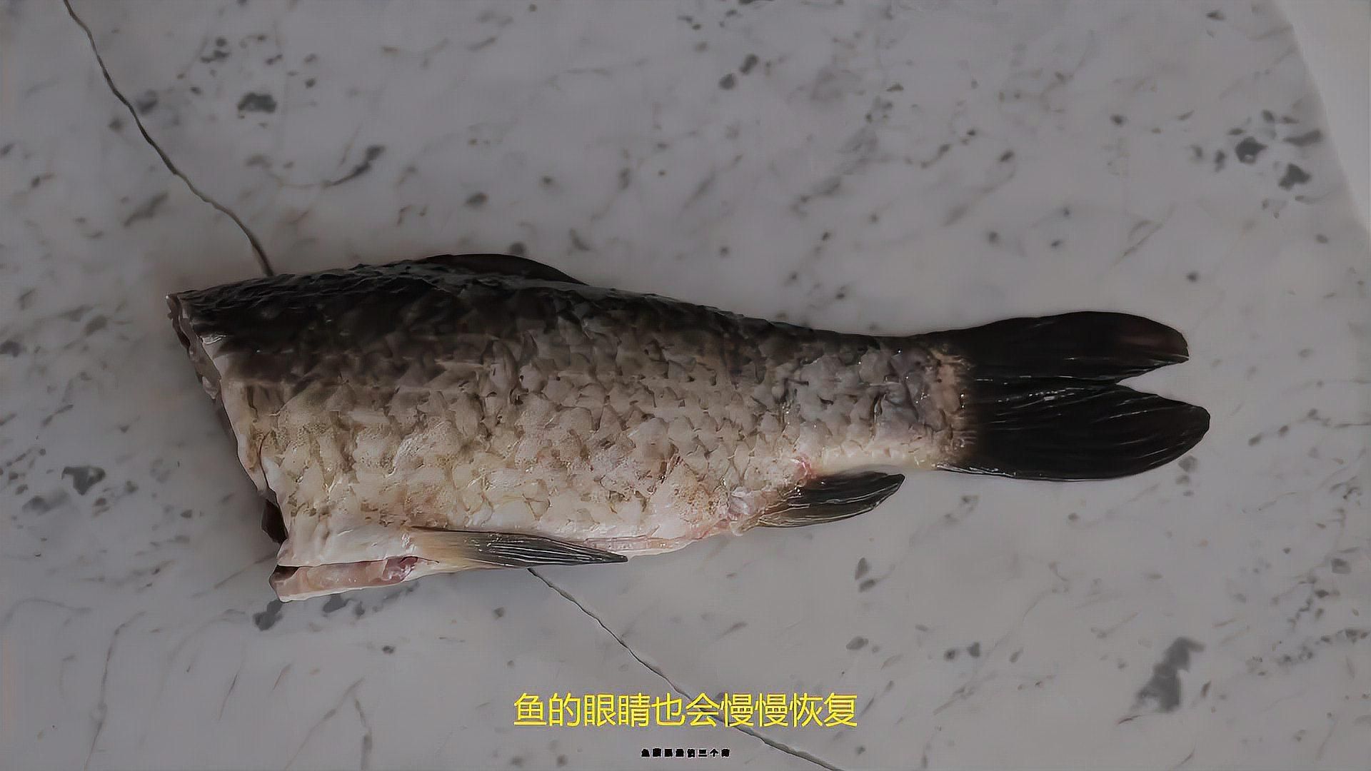 有哪些藥物可以有效治療魚蒙眼，魚蒙眼怎么辦