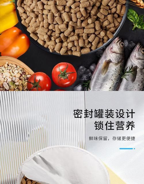 哪個品牌的銀龍魚飼料最好？，哪個品牌的銀龍魚飼料性價比最高？
