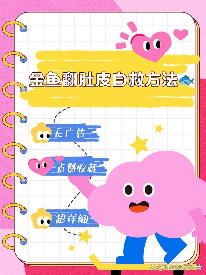 有哪些方法可以加速金魚恢復，如何快速恢復金魚的水質？