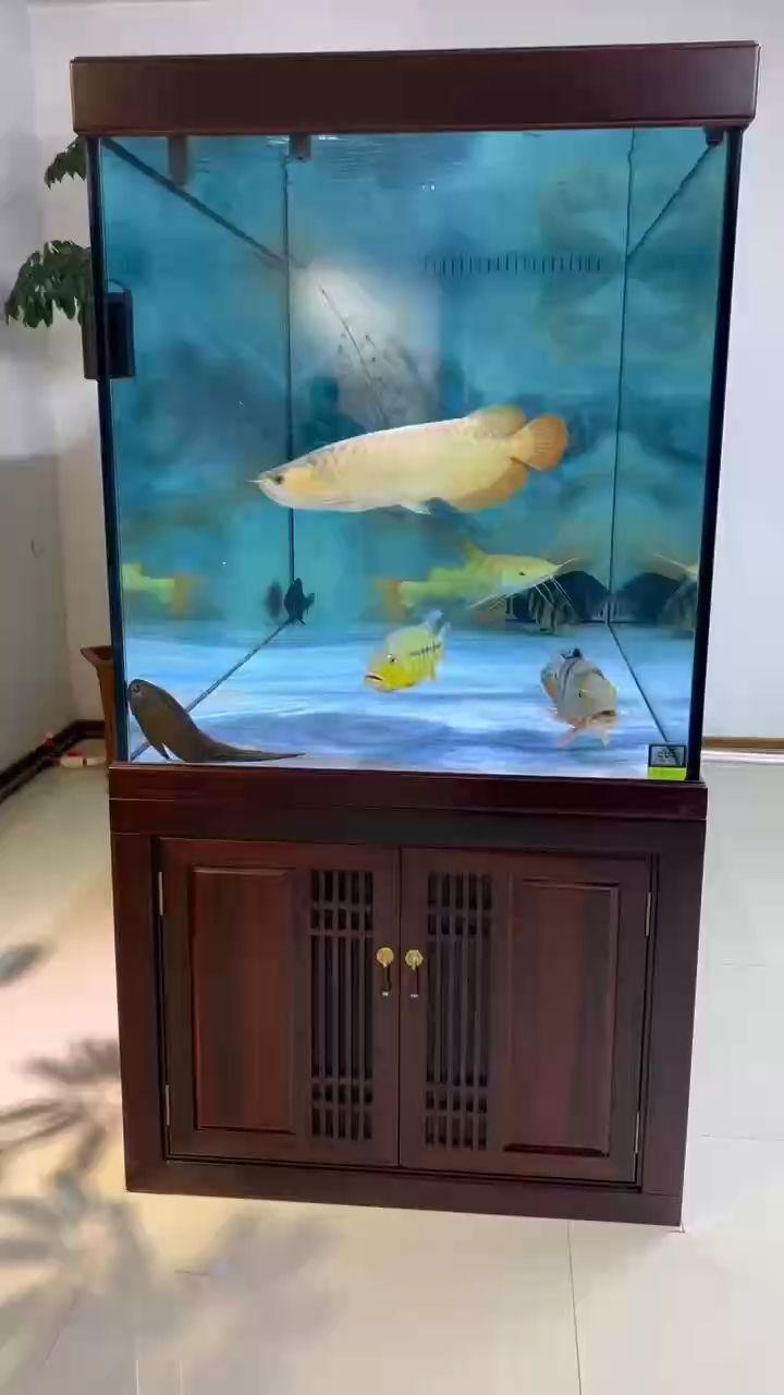 哈哈，探索網絡時代的文化多樣性