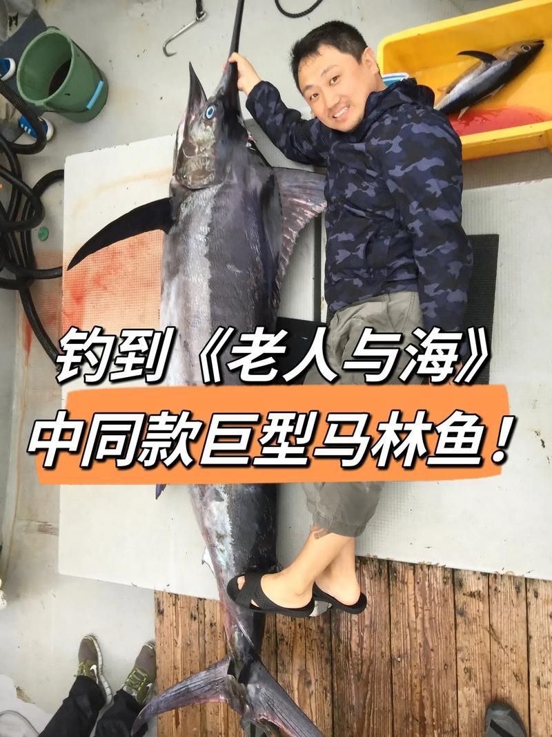 BTL品牌有哪些代表魚只，btl品牌有哪些代表魚只