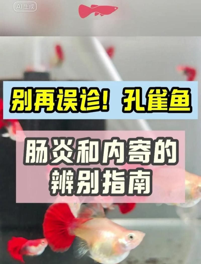 如何判斷魚是否得了內(nèi)寄或腸炎，白便、拖便、漂便、拖便、拖便、漂便、拖便、漂便、漂便