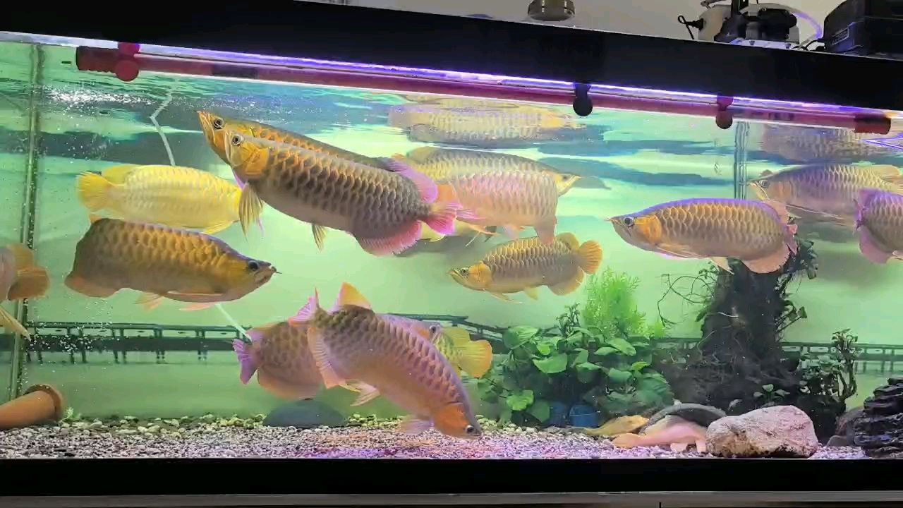 好久沒發了。，創作者應該如何保持創作熱情