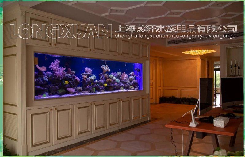 魚缸光源中還有哪些類型？，如何選擇適合海水缸的光源？
