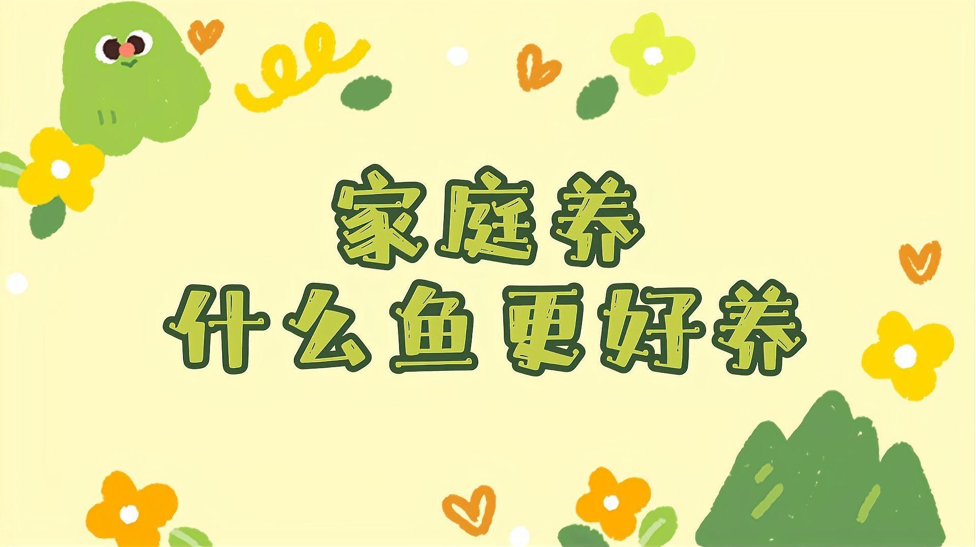 哪些魚適合家庭飼養，家庭養什么樣的魚好？