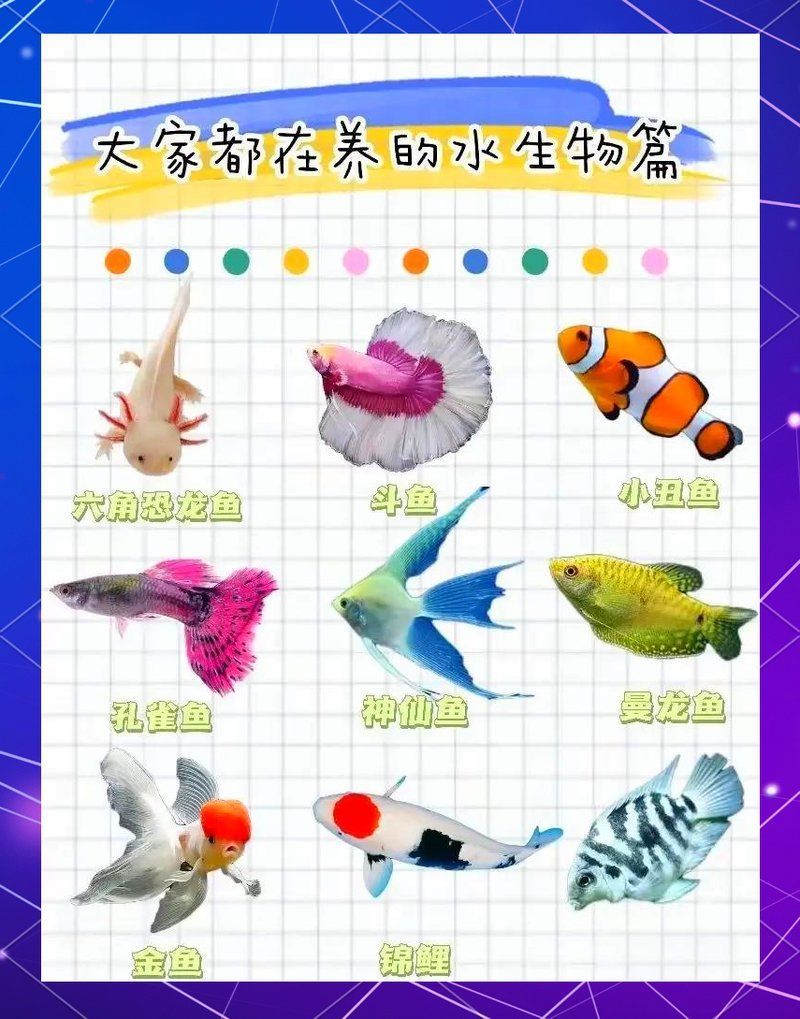 哪些魚適合家庭飼養，家庭養什么樣的魚好？